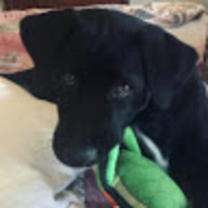 Meet your Posher, Kay